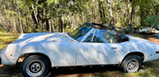 Jensen Healey for sale